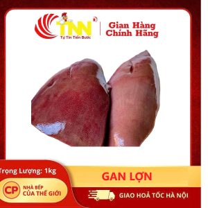 Gan lợn